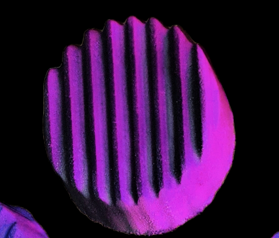 Ridged Puck  BBHP EXCLUSIVE