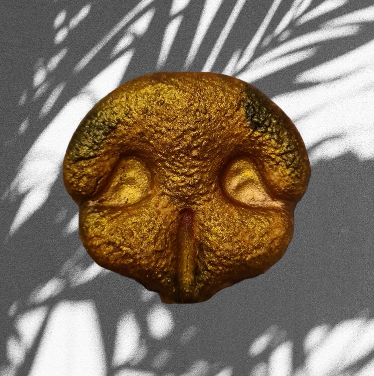 Animal Nose BBHP EXCLUSIVE