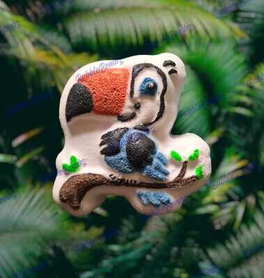 Toucan Bird