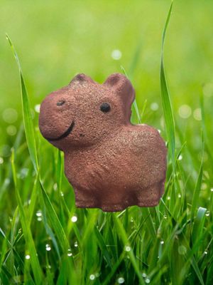 Cappy Small bath bomb mould  BBHP EXCLUSIVE approx 80g