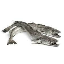 Wild Hake
