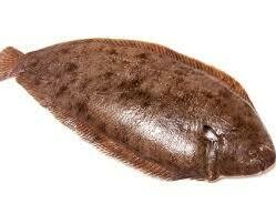 Wild Dover Sole