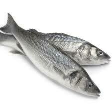 Wild Caught Bass