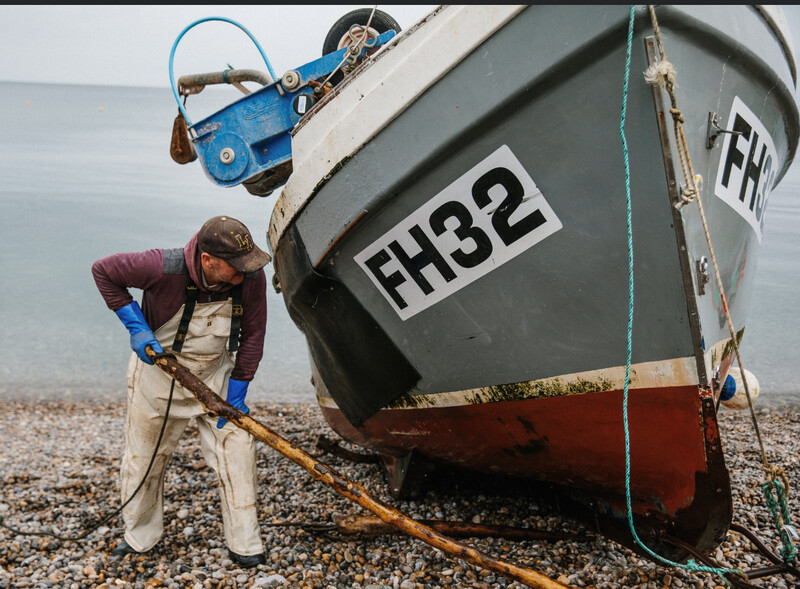 Bess And/Or Lady Of Ennis, 5KG of Mixed Wild Fish