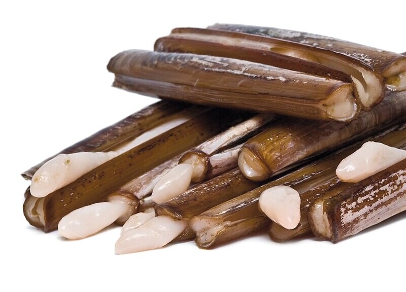 Razor Clams - Bait