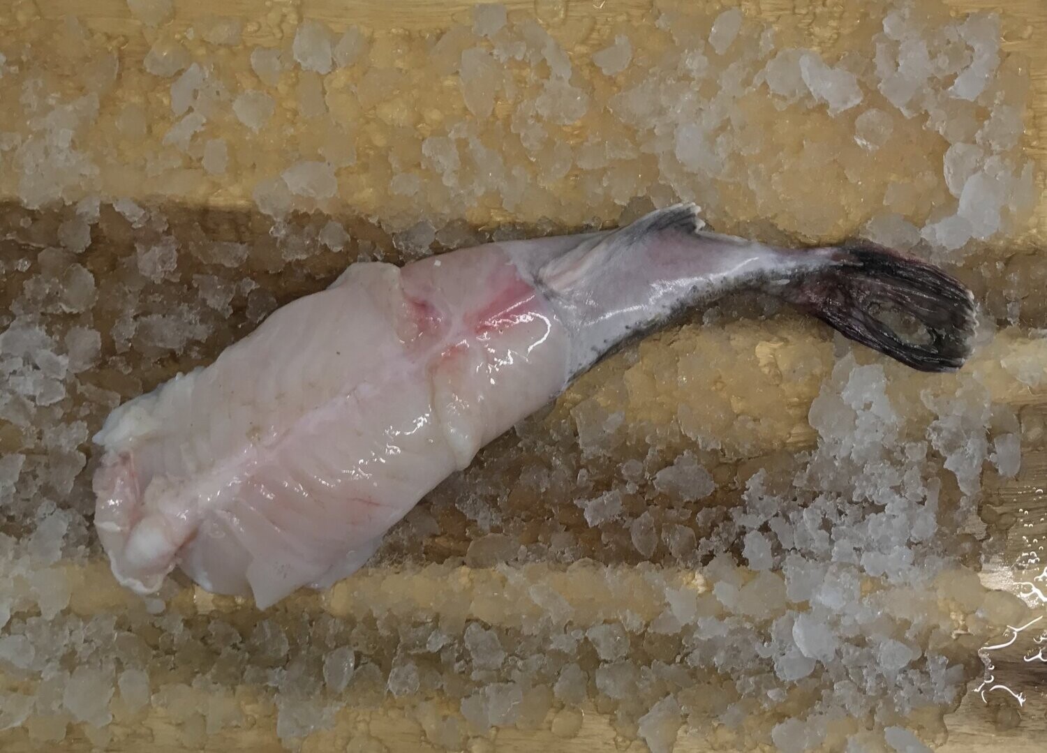 Wild Monkfish (small)