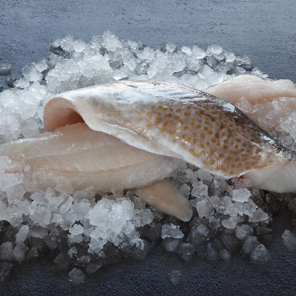 Cod Fillet