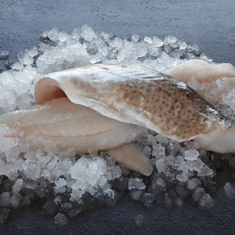 Cod Fillet