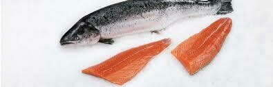 Salmon Fillet