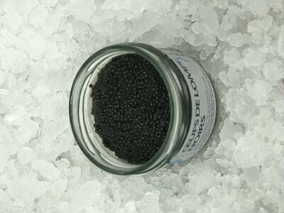 Caviar (lumpfish) Caviar (lumpfish)