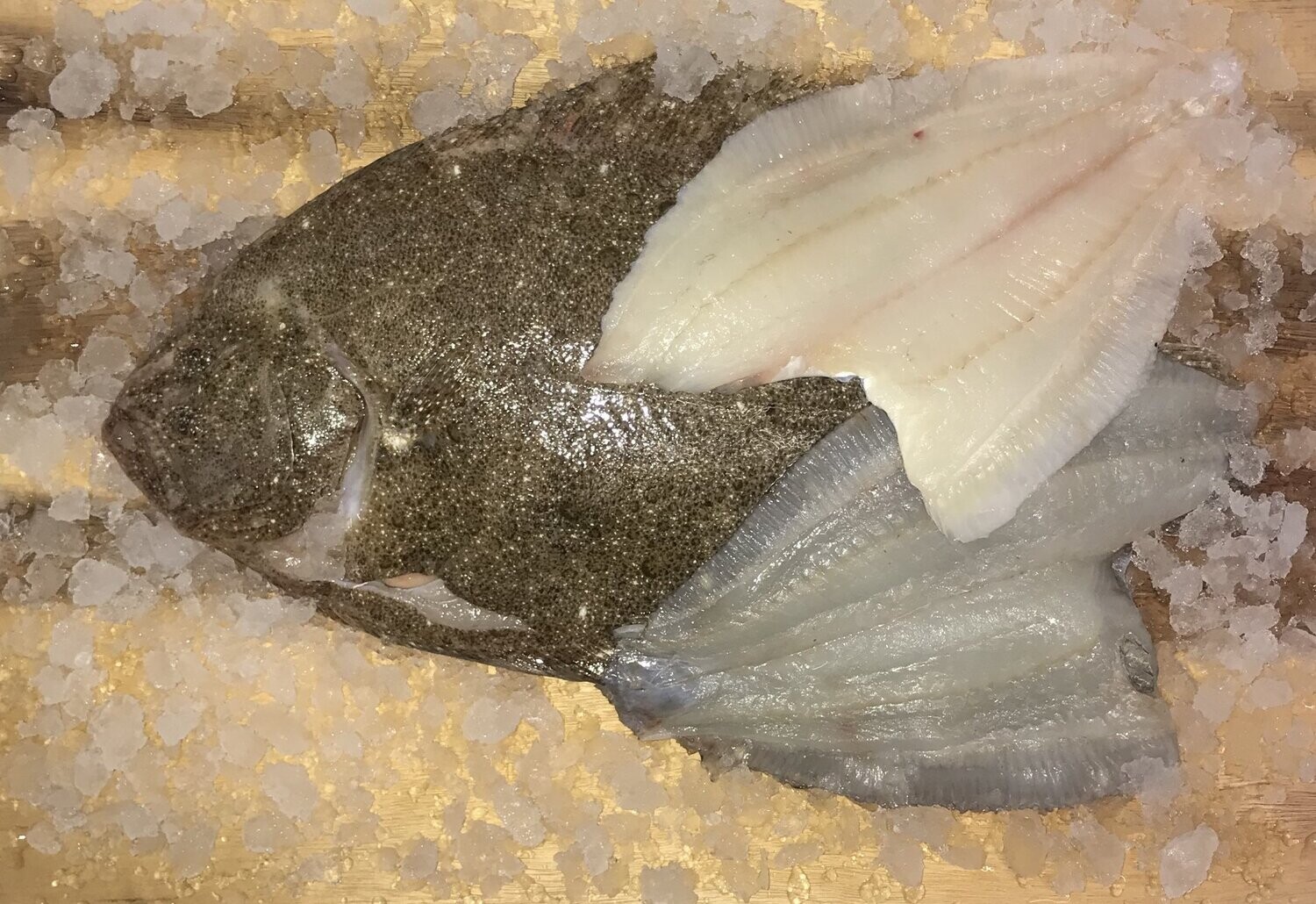 Wild Caught Brill (small) Wild Caught Brill (small)