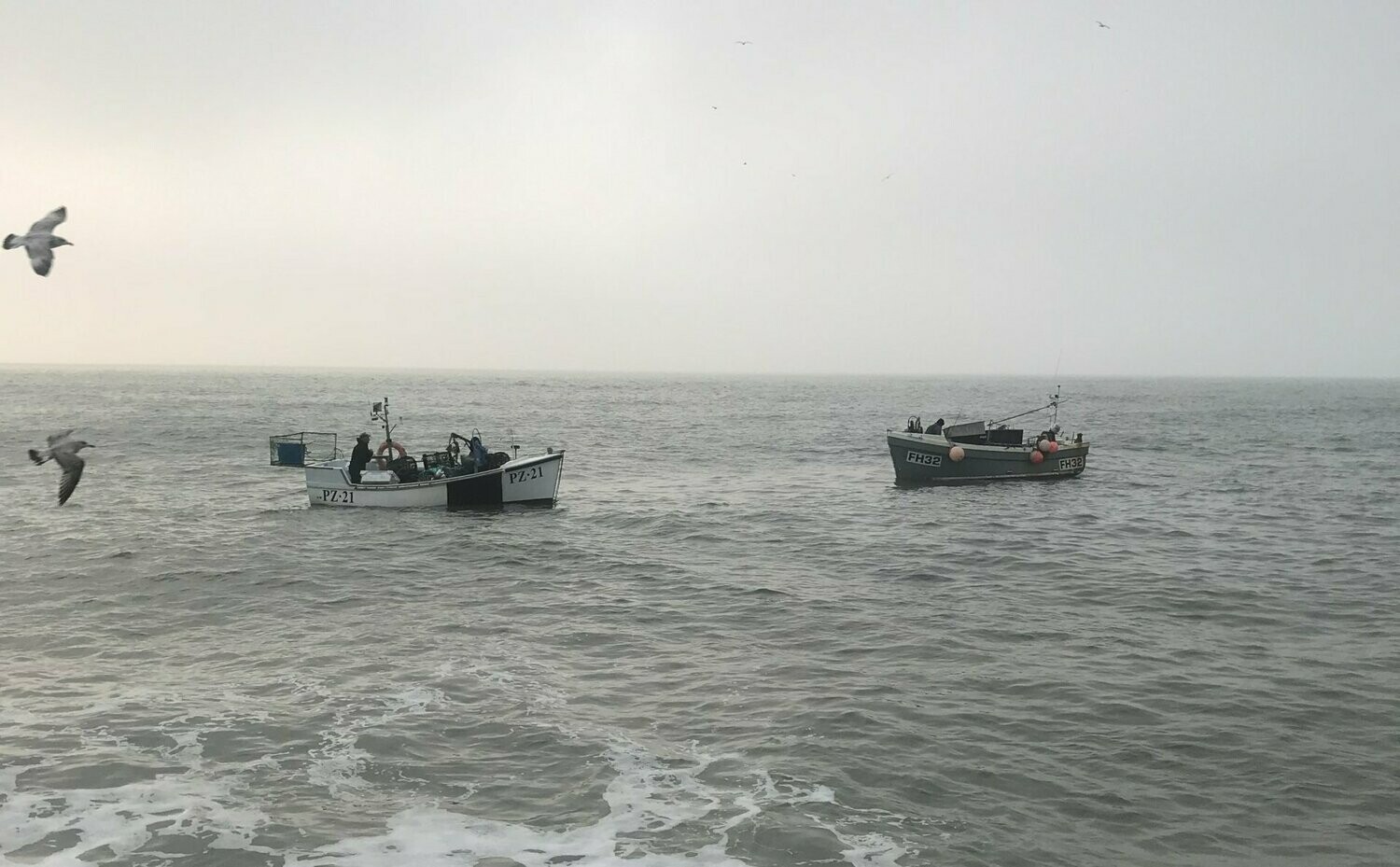 Wild Catch of the Day fish box (Monthly Sub Avaliable)