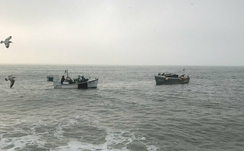 Wild Catch of the Day fish box (Monthly Sub Avaliable)