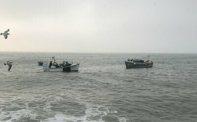 Wild Catch of the Day fish box (Monthly Sub Avaliable) Wild Catch of the Day fish box (Monthly Sub Avaliable)