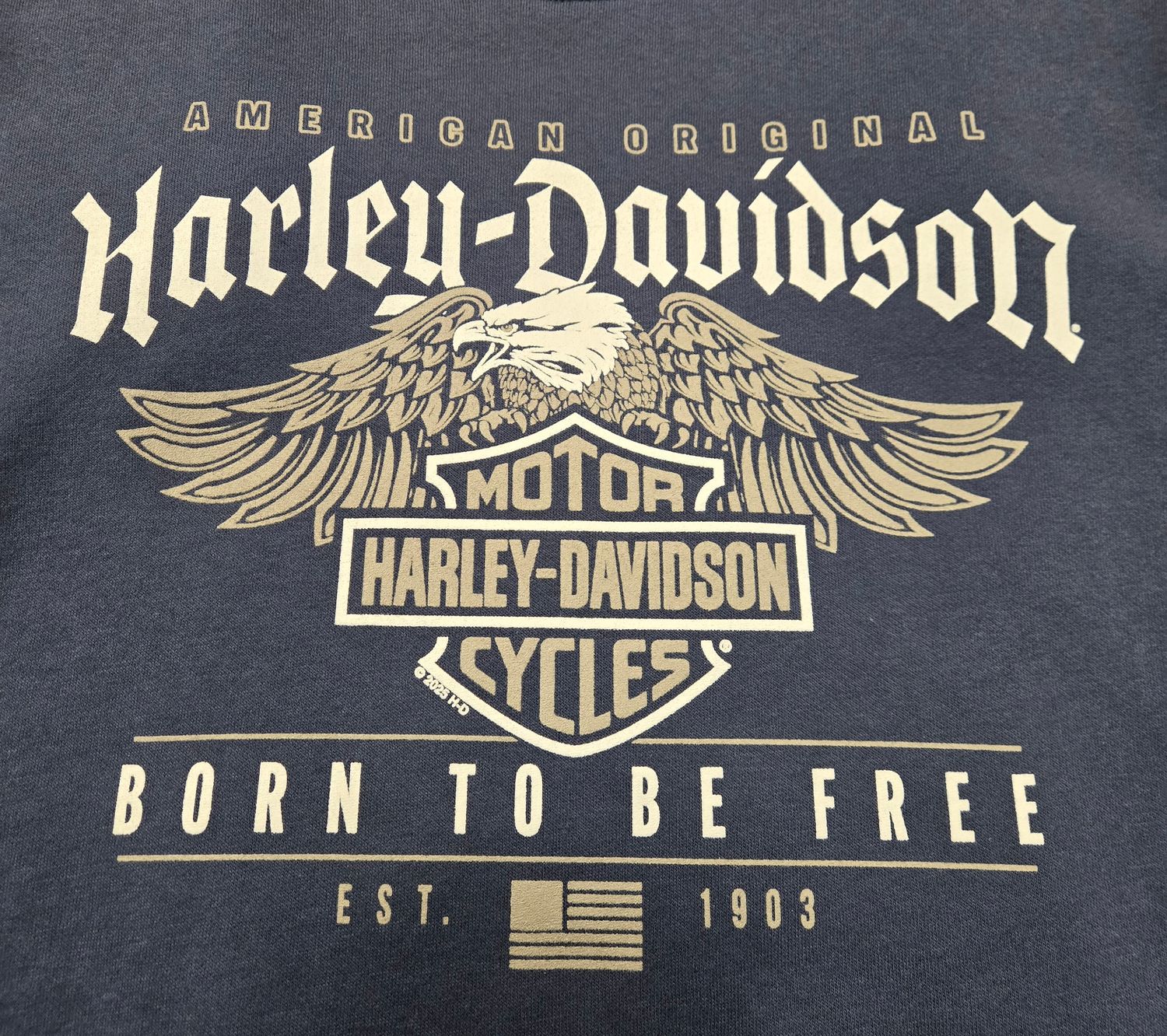 Unisex H-D American Original Crew Sweatshirt
