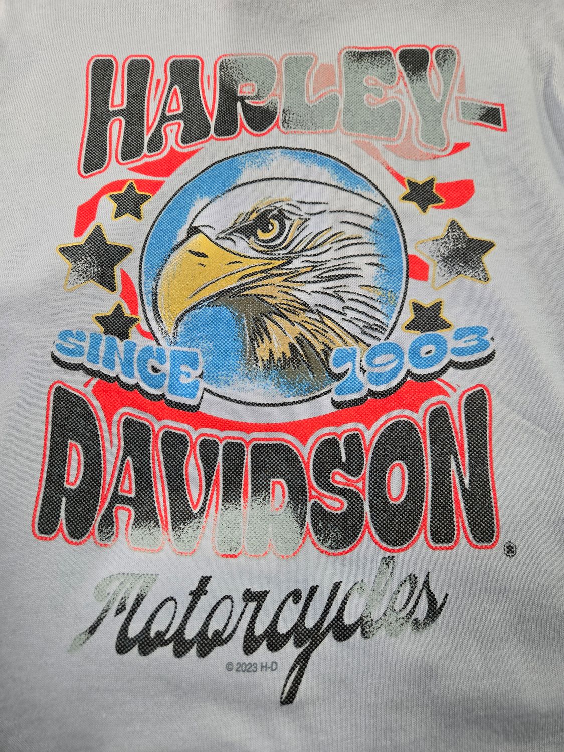 H-D Eagle Eye Youth Tee