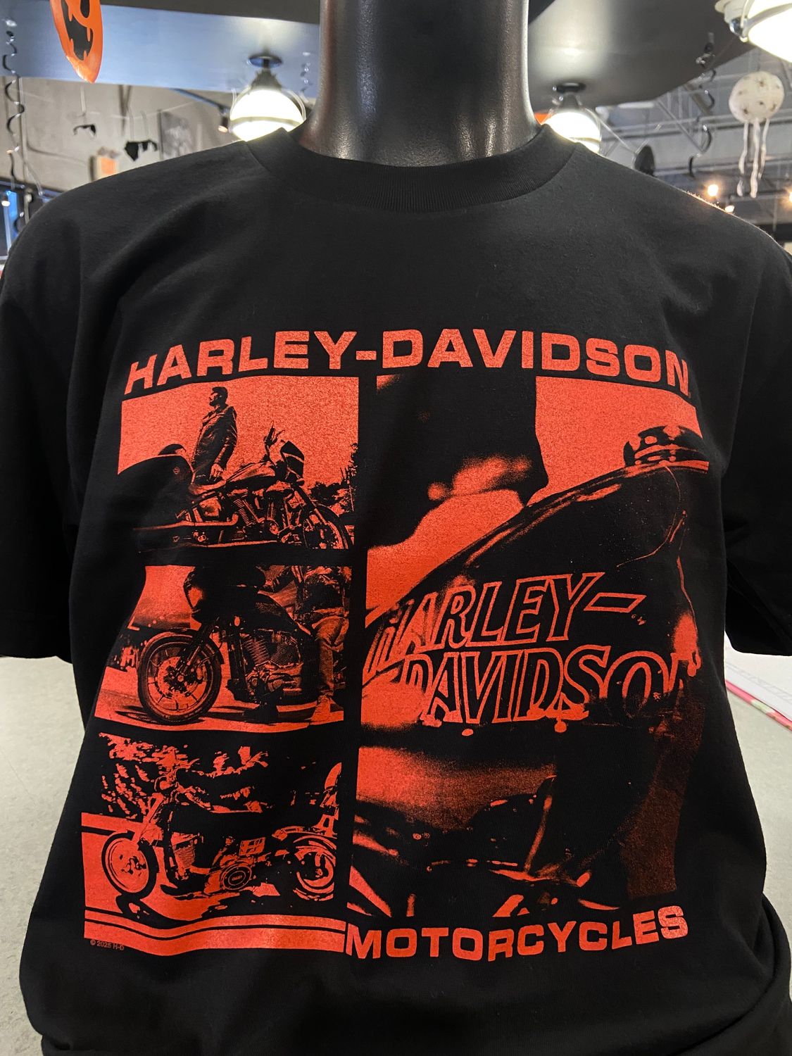 H-D THE RIDE TEE