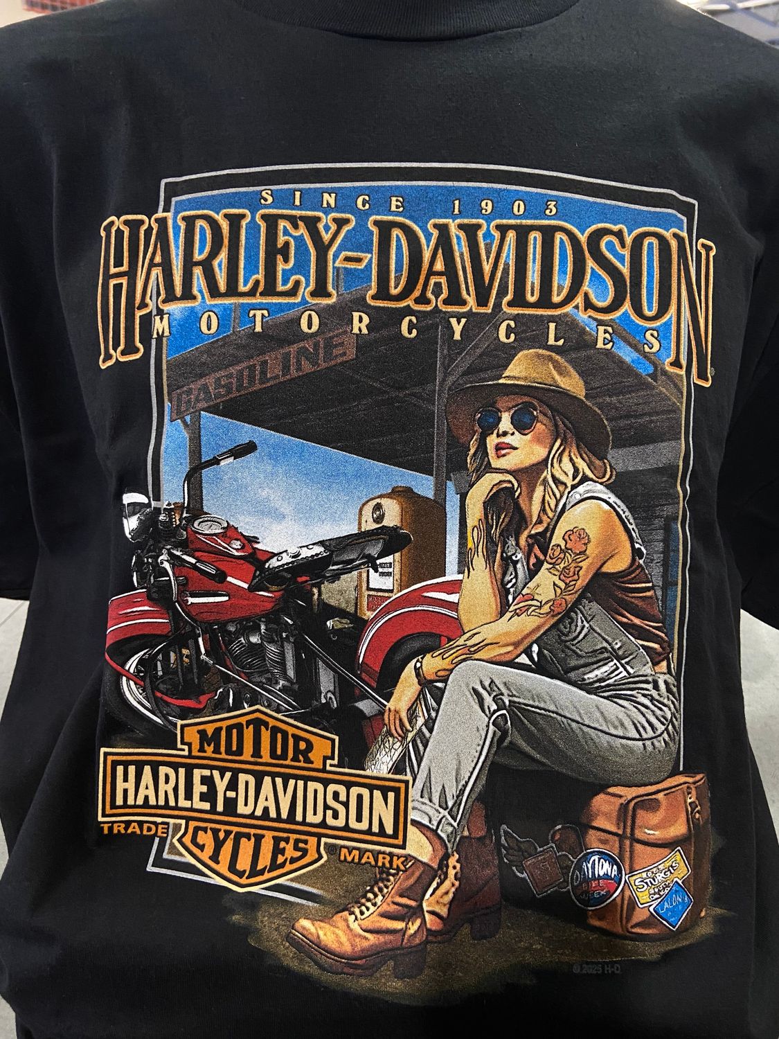 H-D HANGIN' OUT TEE