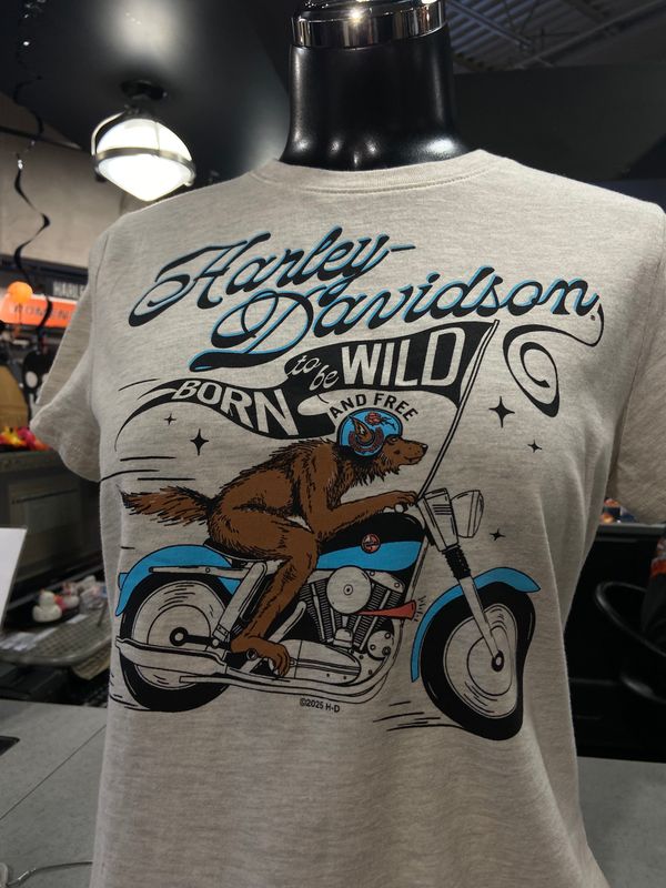H-D BORN WILD &amp; FREE TEE