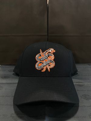 H-D STRUCK FITTED CAP