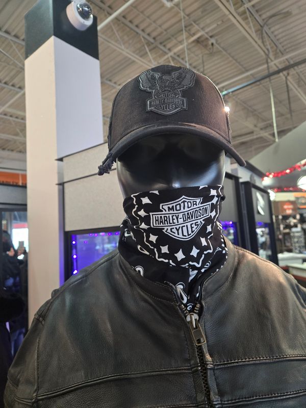 EAGLE PATCH FITTED 39THIRTY CAP