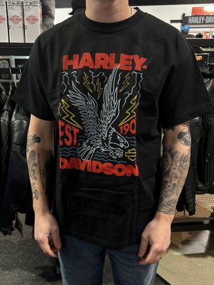 H-D THUNDER STRIKE TEE
