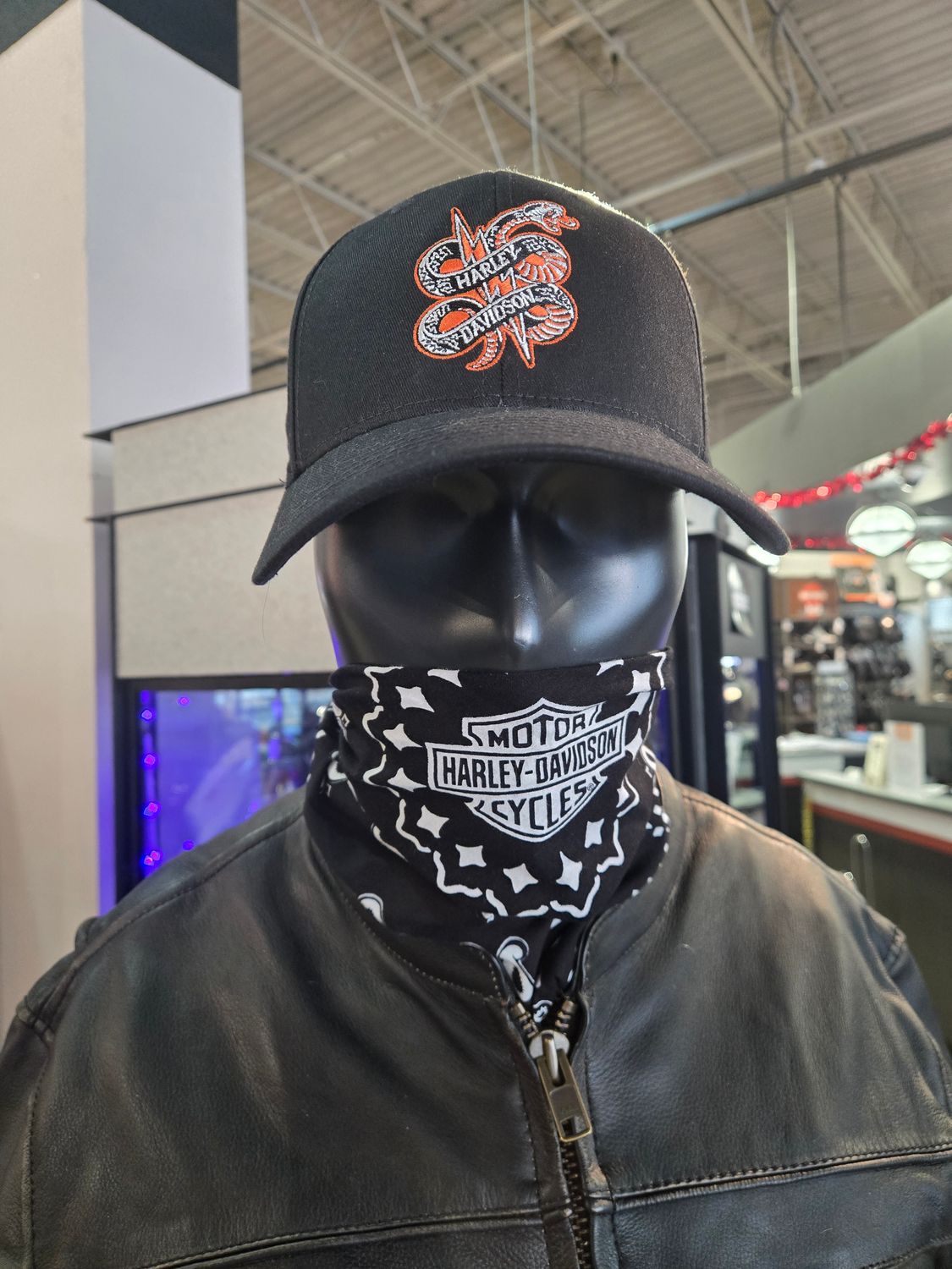 H-D STRUCK FITTED CAP