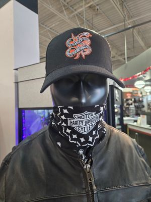 H-D STRUCK FITTED CAP