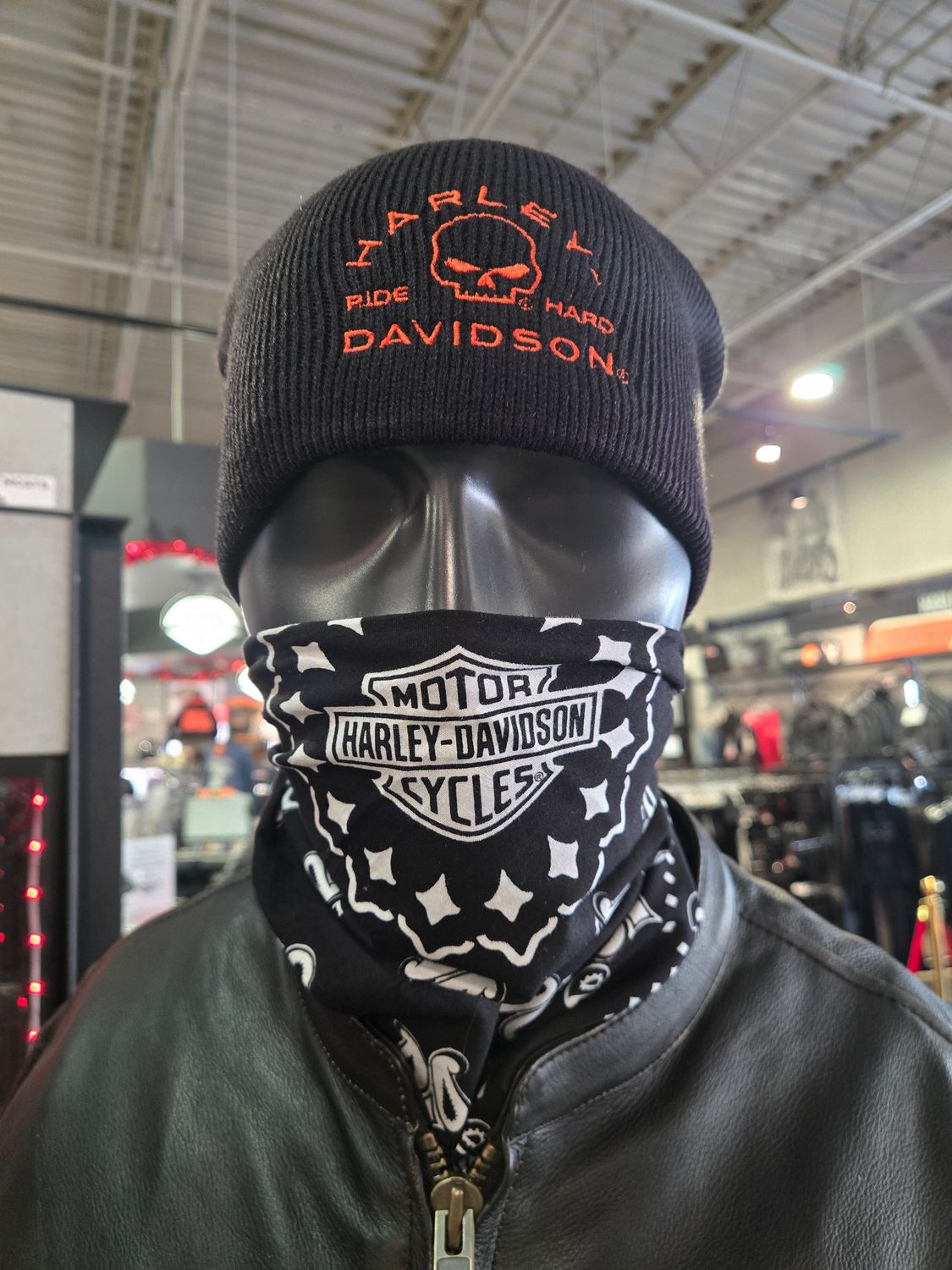 HD ZONE BEANIE