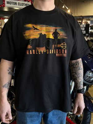 H-D HORIZON VIEW TEE