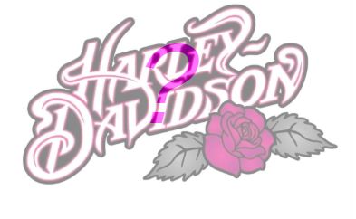 WOMEN'S MYSTERY BUNDLE