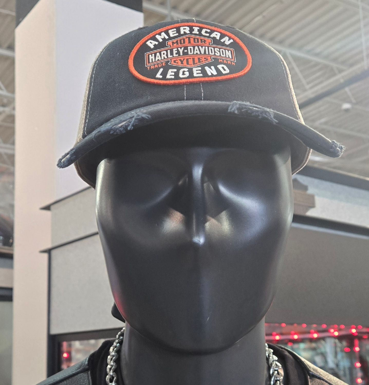 ORVILLE 6 PANEL BALLCAP