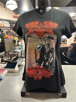 H-D FLY