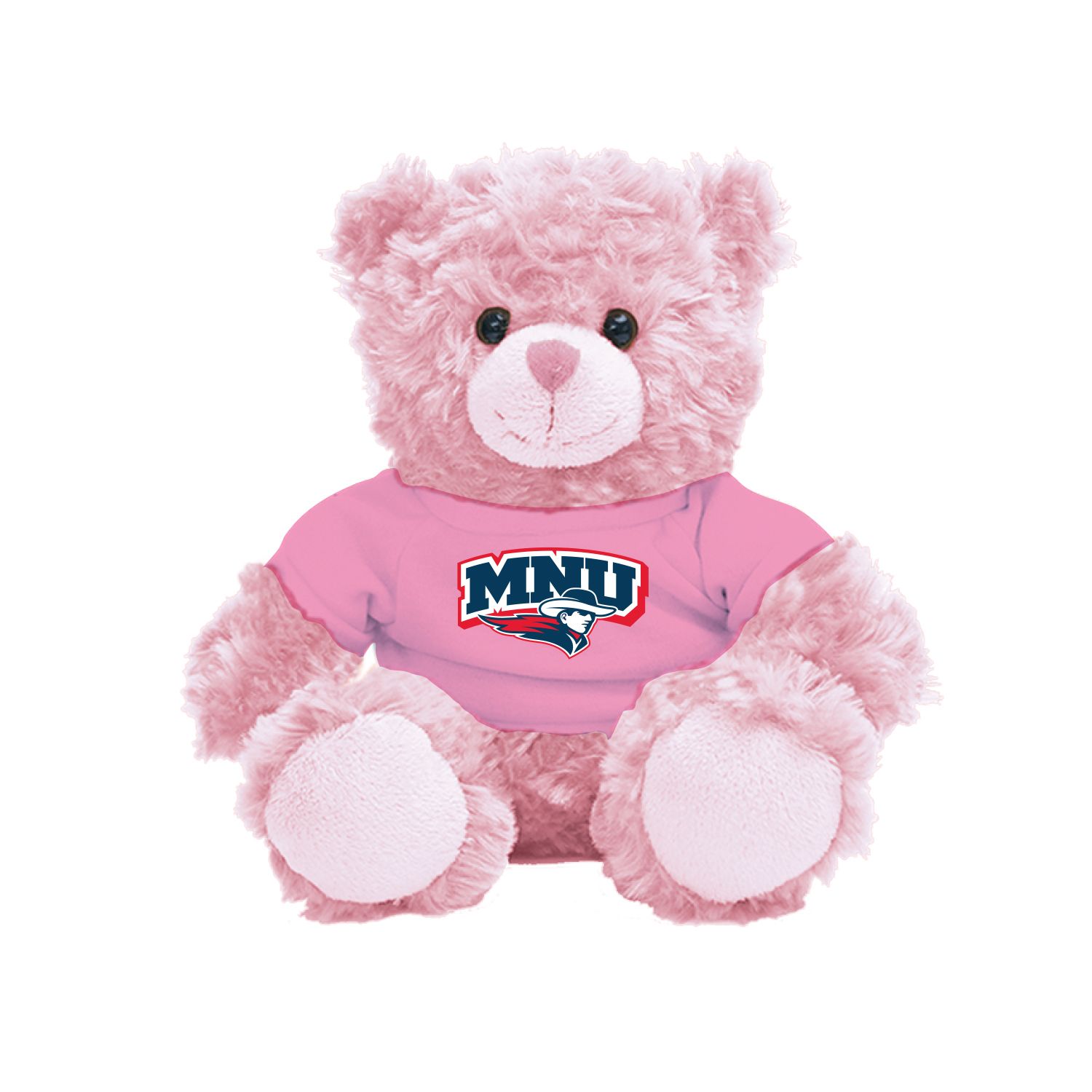 12&quot; Teddy Bear - Pink