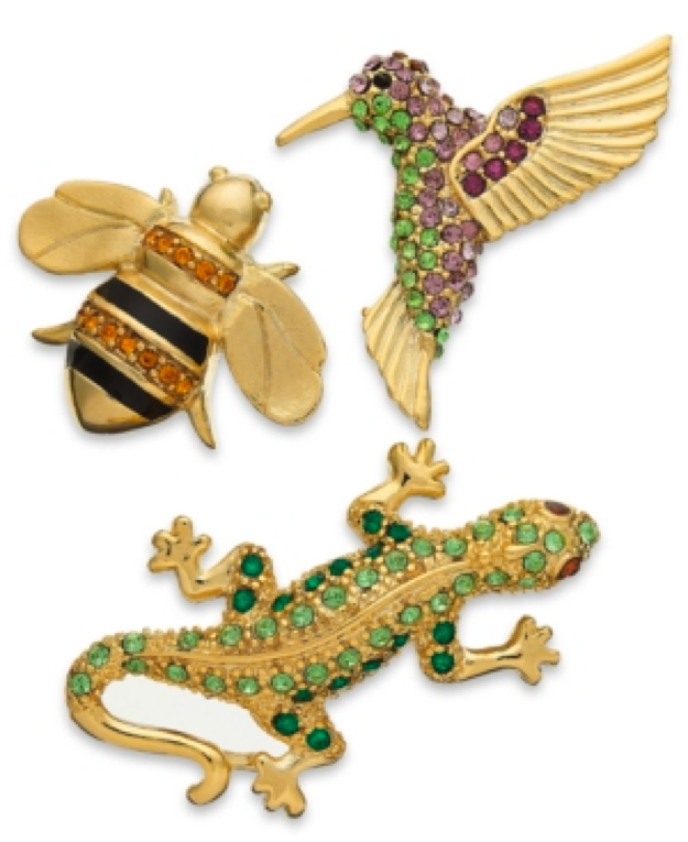 Charter Club Bee, Bird and Reptile Pin Set