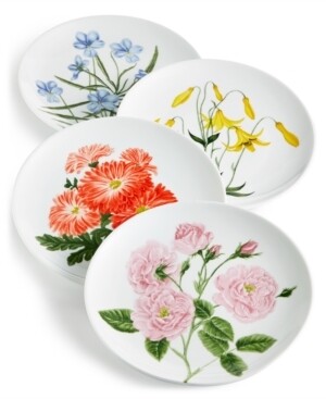 Martha Stewart Collection Floral Salad Plates, Set of 4