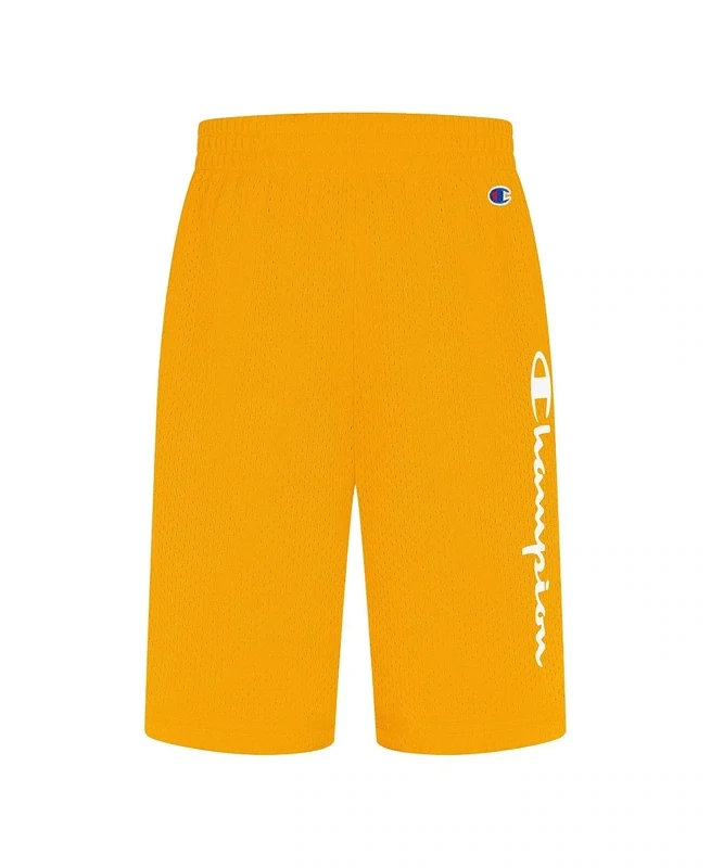 Champion Little Boys Vertical Script Mesh Shorts - Capri Orange - Size 6