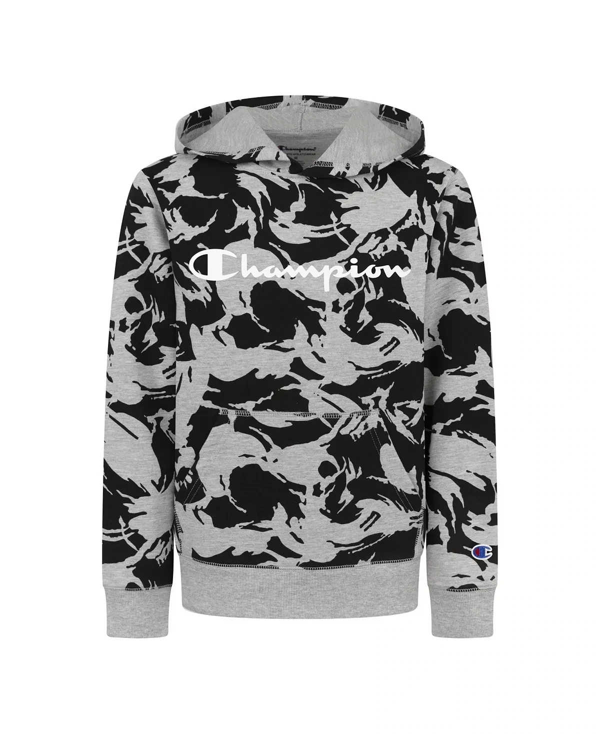 Champion Toddler Boys Brush Stroke Camo Script French Terry Hoodie - Size 5