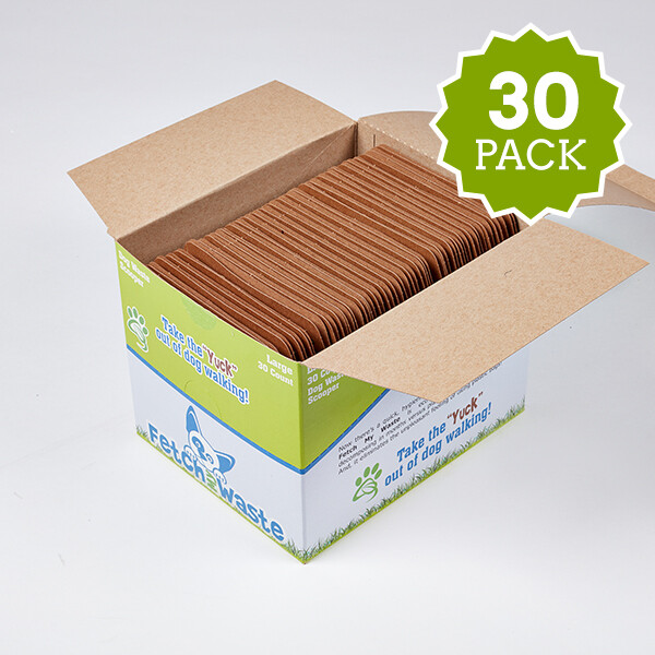 XL Box 30 Count
