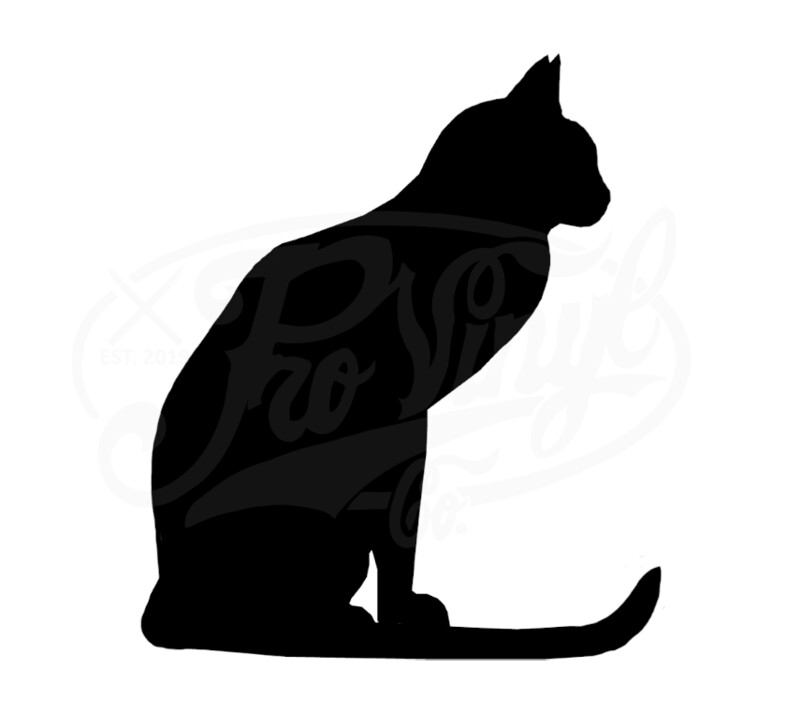 Cat Sitting 2