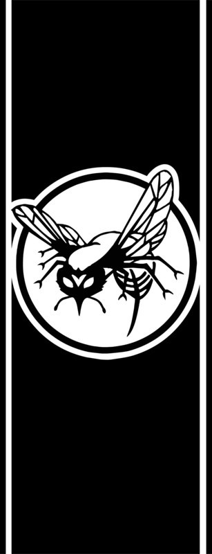 Green Hornet Racing Stripe Driver Side - Vinyl Decal Sticker
