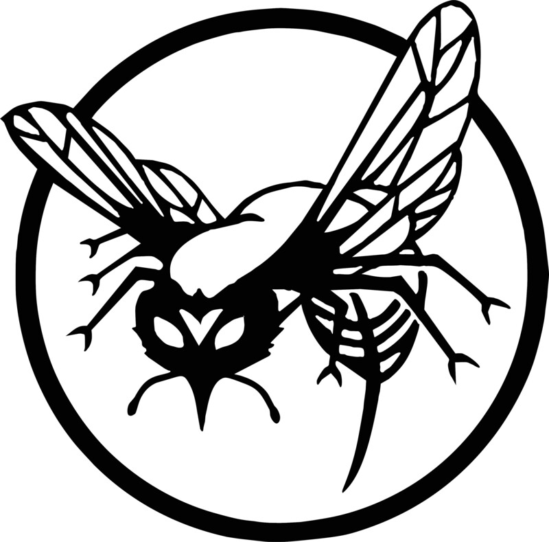 Green Hornet Logo - Vinyl Decal Sticker
