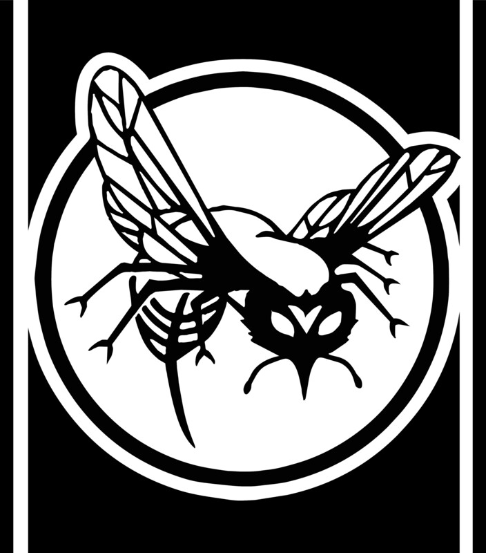 Green Hornet Racing Stripe Passenger Side - Vinyl Decal Sticker