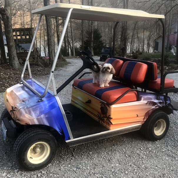 Golf Cart Vinyl Wrap (2 Seater)