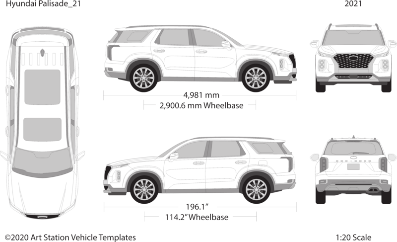 Hyundai Palisade Wrap Project