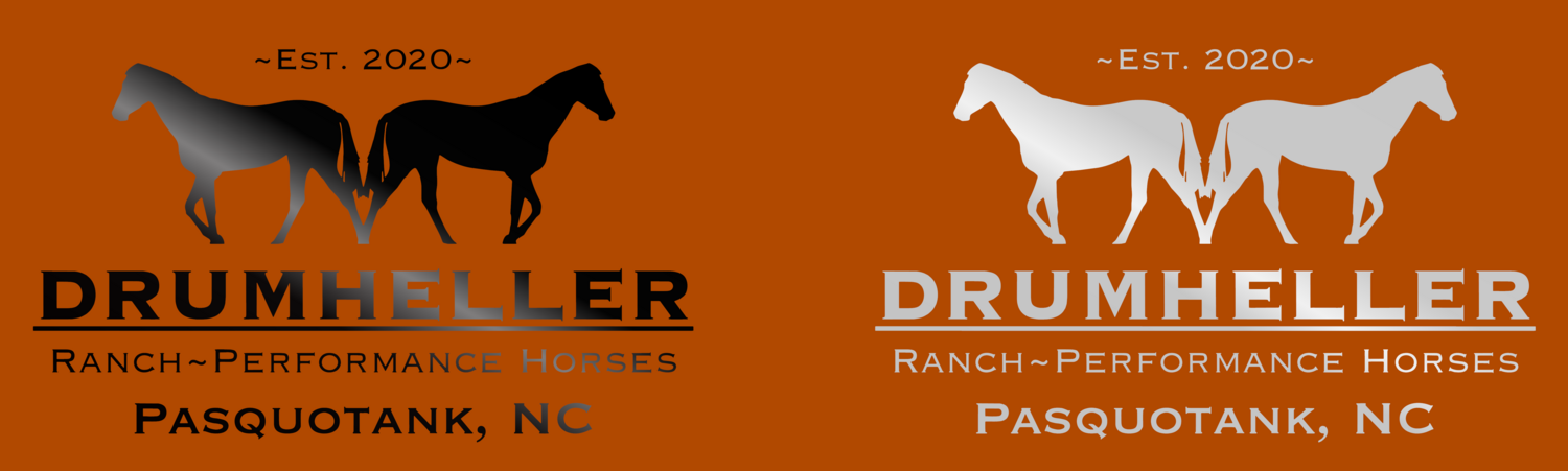 Drumheller Door Decals