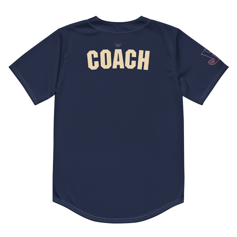 2025 Hampton Wythe Little League All Star Jerseys, Hat, and Practice Jersey