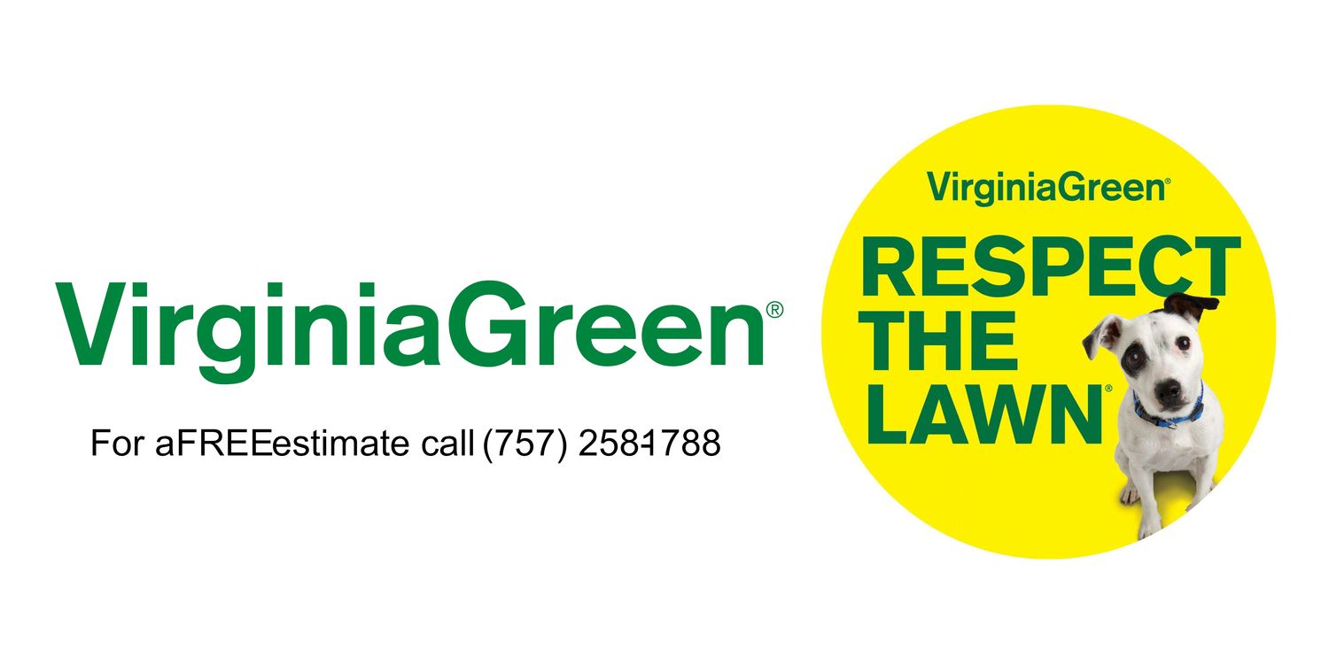 Phoebus Little League Banner (Spring '26 - Qty 1)