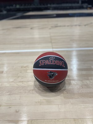 Ottawa BlackJacks x Spalding Custom Rubber Basketball