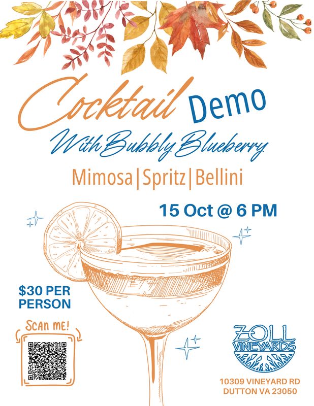 Bubbly Blueberry Cocktail Demonstration